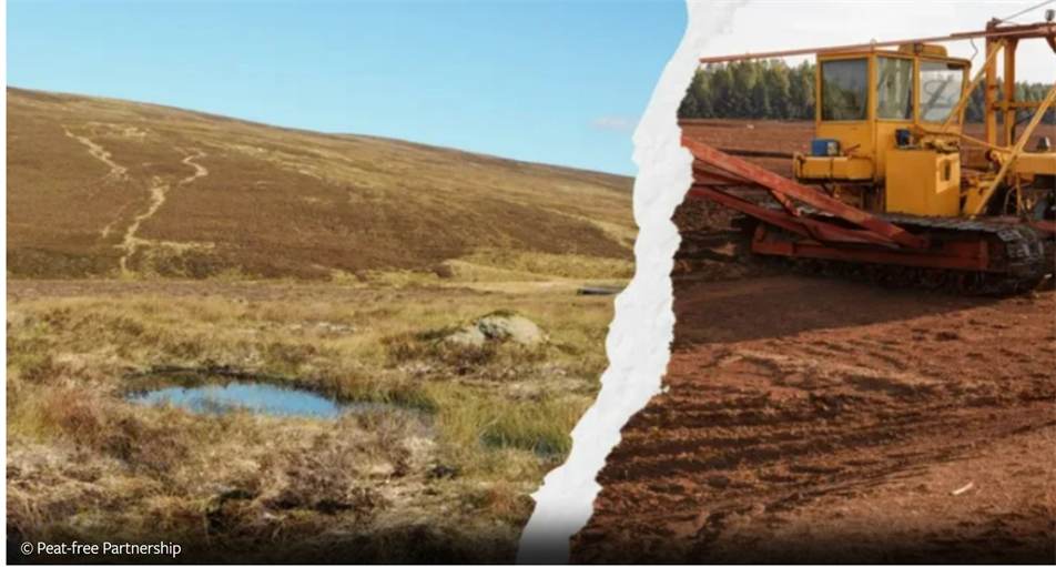 Peat-free Partnership